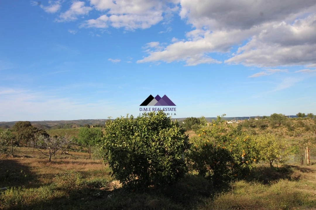 Terreno Agricola ou Rústico para Venda em Odeleite Foto 15