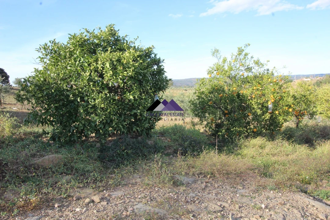 Terreno Agricola ou Rústico para Venda em Odeleite Foto 16