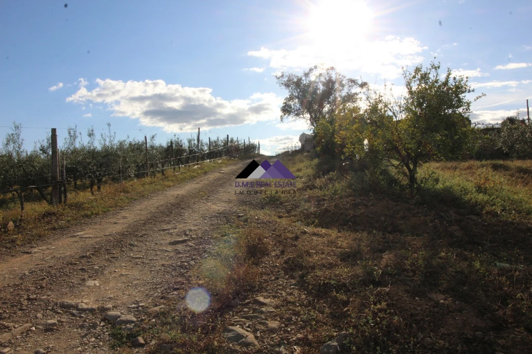 Terreno Agricola ou Rústico para Venda em Odeleite Foto 18