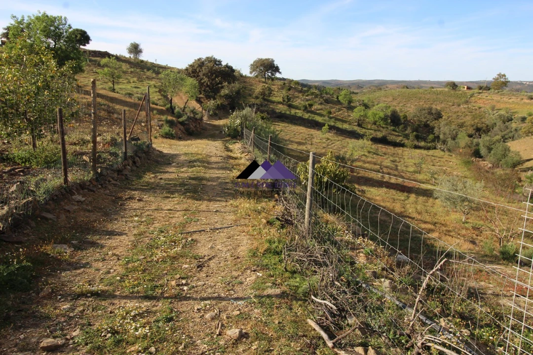 Terreno Agricola ou Rústico para Venda em Odeleite Foto 3