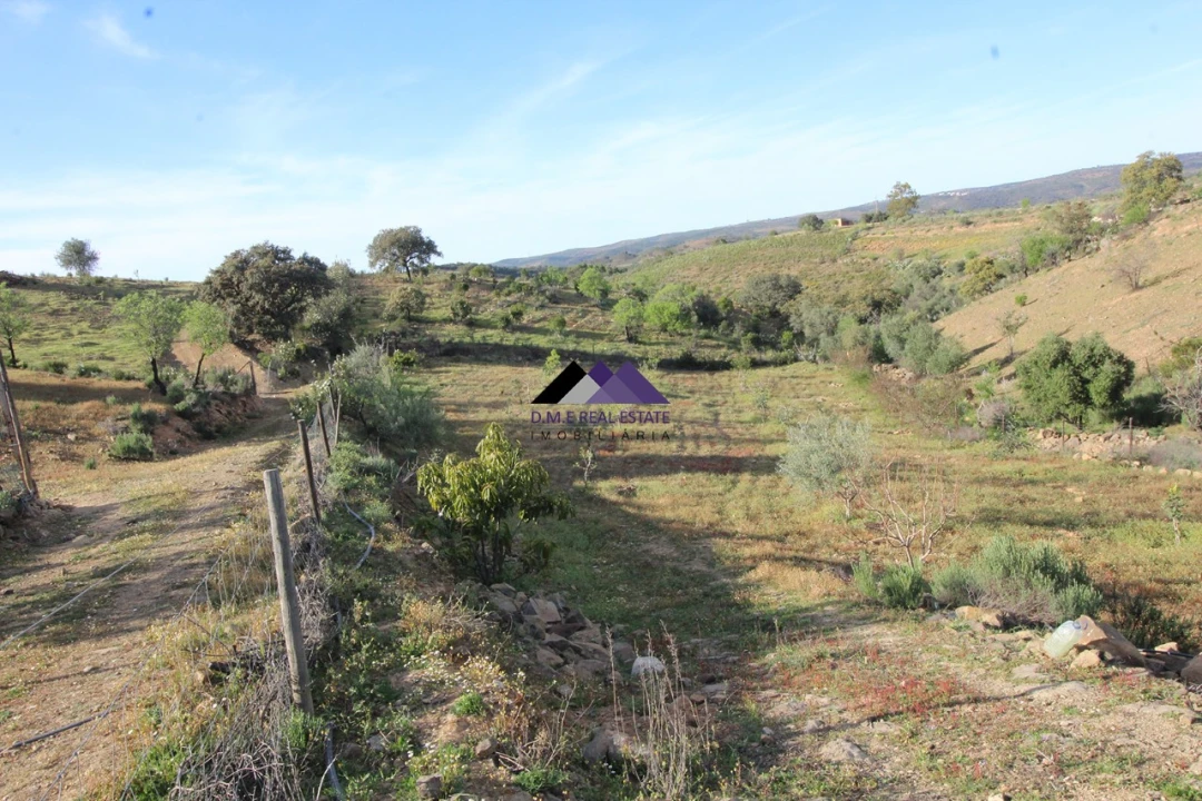 Terreno Agricola ou Rústico para Venda em Odeleite Foto 19