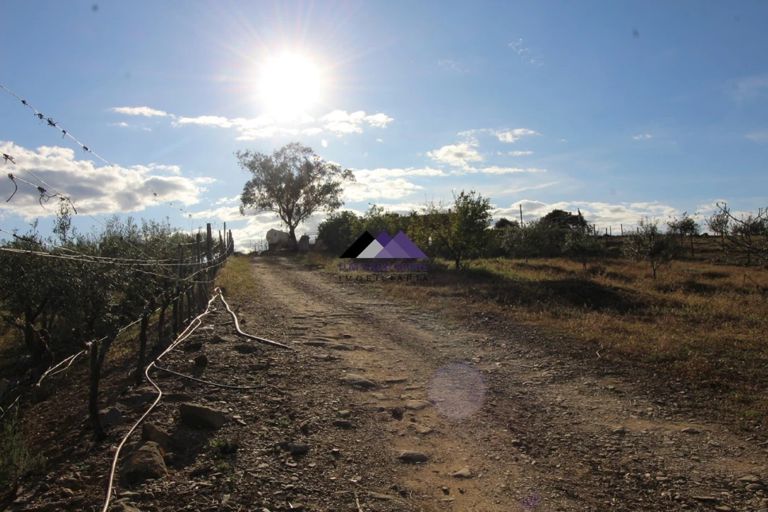 Terreno Agricola ou Rústico para Venda em Odeleite Foto 20