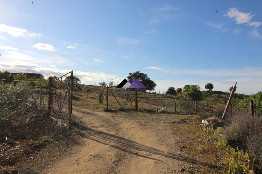 Terreno Agricola ou Rústico para Venda em Odeleite Foto 23