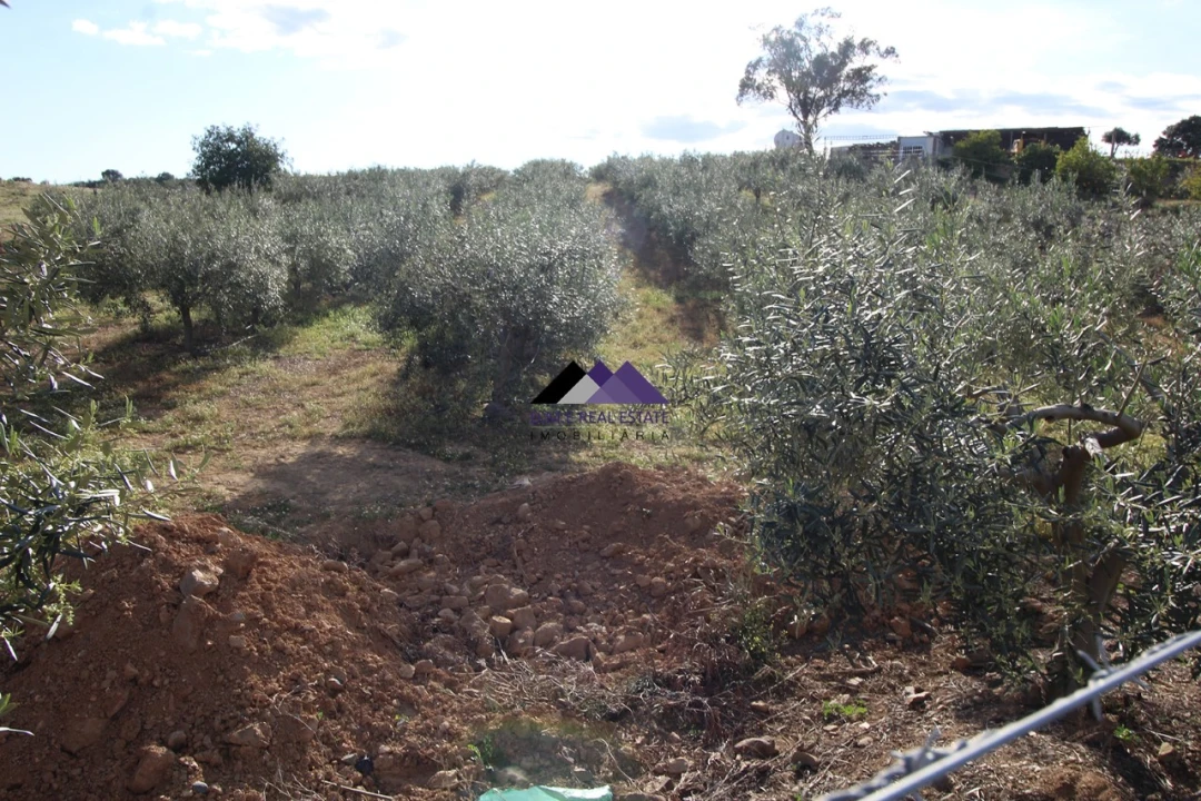 Terreno Agricola ou Rústico para Venda em Odeleite Foto 5