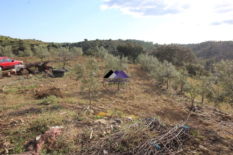 Terreno Agricola ou Rústico para Venda em Odeleite Foto 17