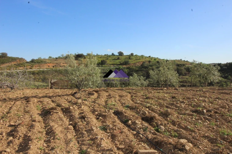 Terreno Agricola ou Rústico para Venda em Odeleite Foto 7