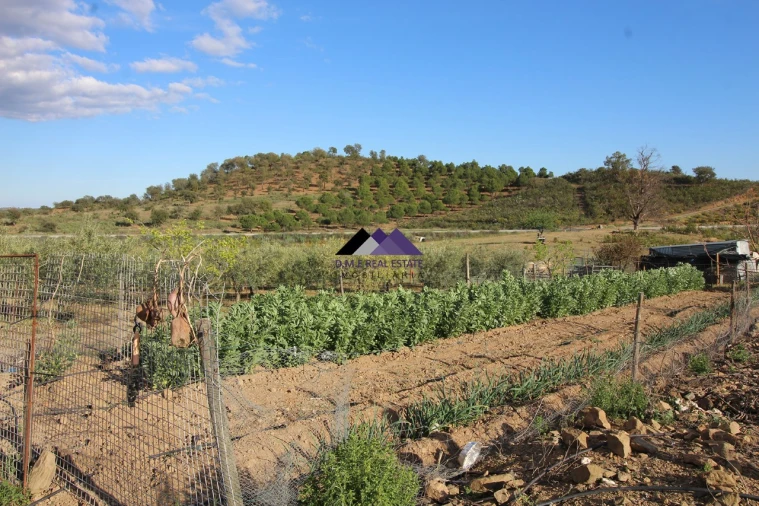 Terreno Agricola ou Rústico para Venda em Odeleite Foto 9
