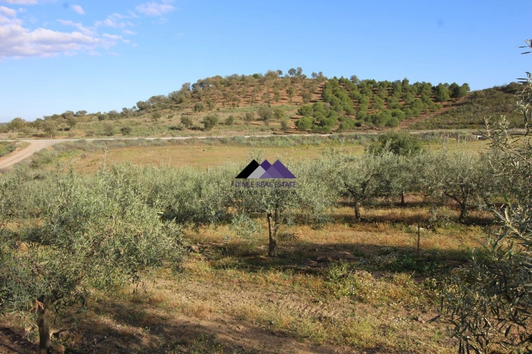 Terreno Agricola ou Rústico para Venda em Odeleite Foto 14