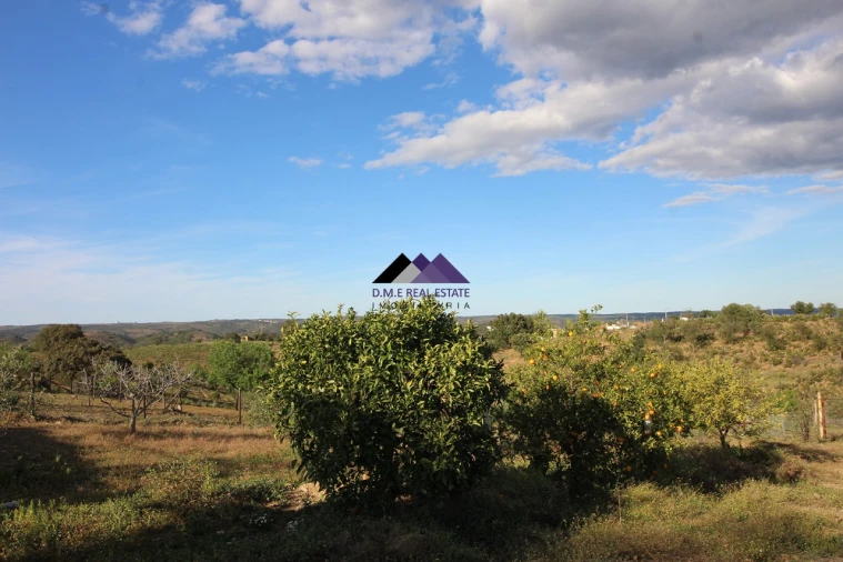 Terreno Agricola ou Rústico para Venda em Odeleite Foto 15
