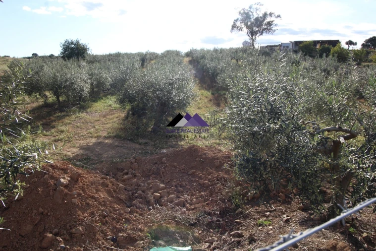 Terreno Agricola ou Rústico para Venda em Odeleite Foto 5