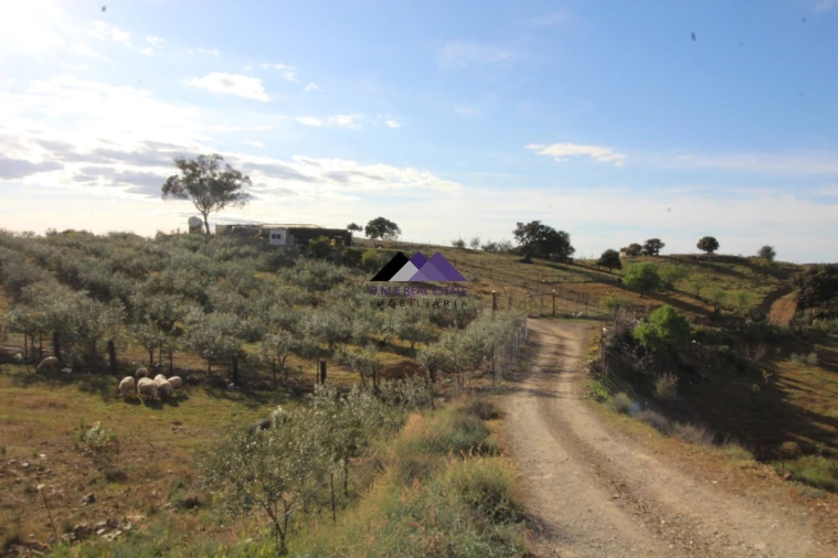 Terreno Agricola ou Rústico para Venda em Odeleite Foto 24