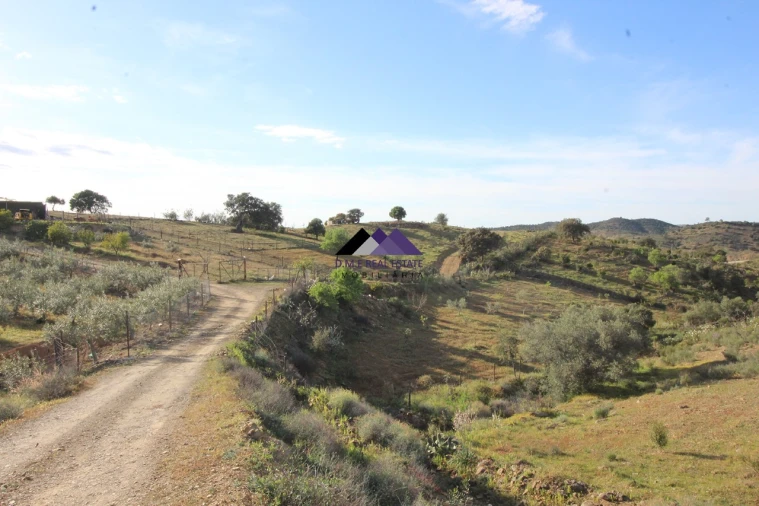 Terreno Agricola ou Rústico para Venda em Odeleite Foto 2