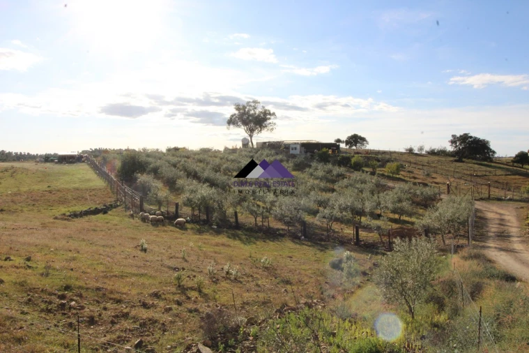 Terreno Agricola ou Rústico para Venda em Odeleite Foto 4
