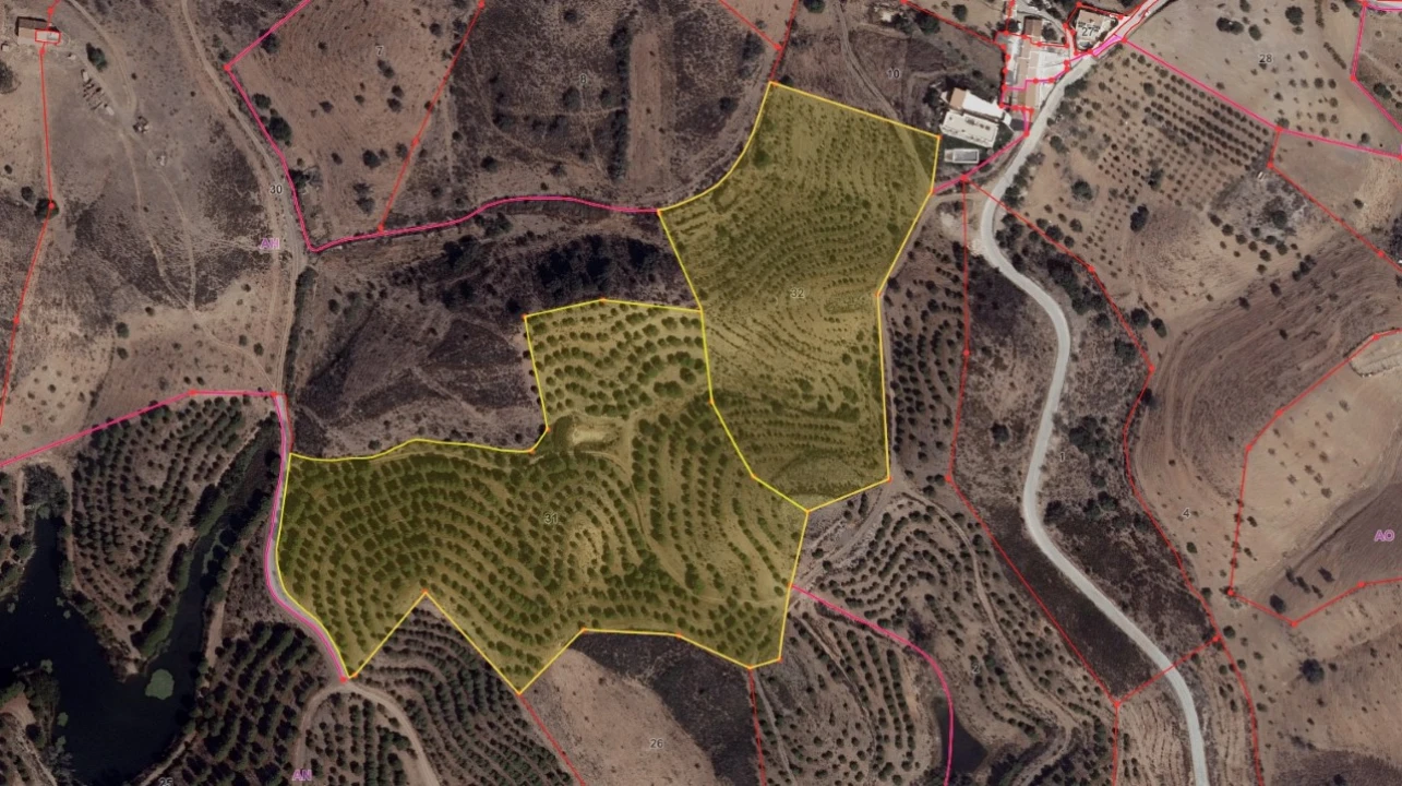 Terreno Agricola ou Rústico para Venda em Castro Marim Foto 1