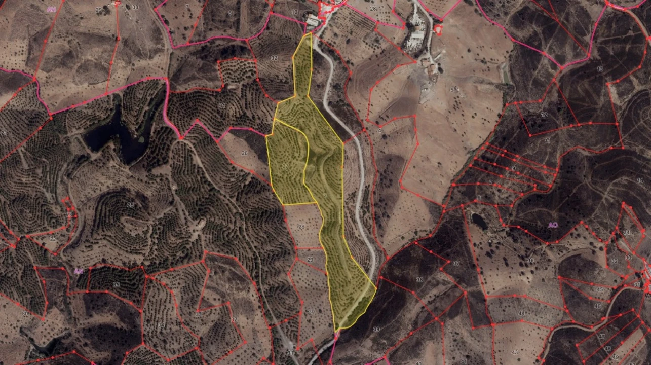 Terreno Agricola ou Rústico para Venda em Castro Marim Foto 1