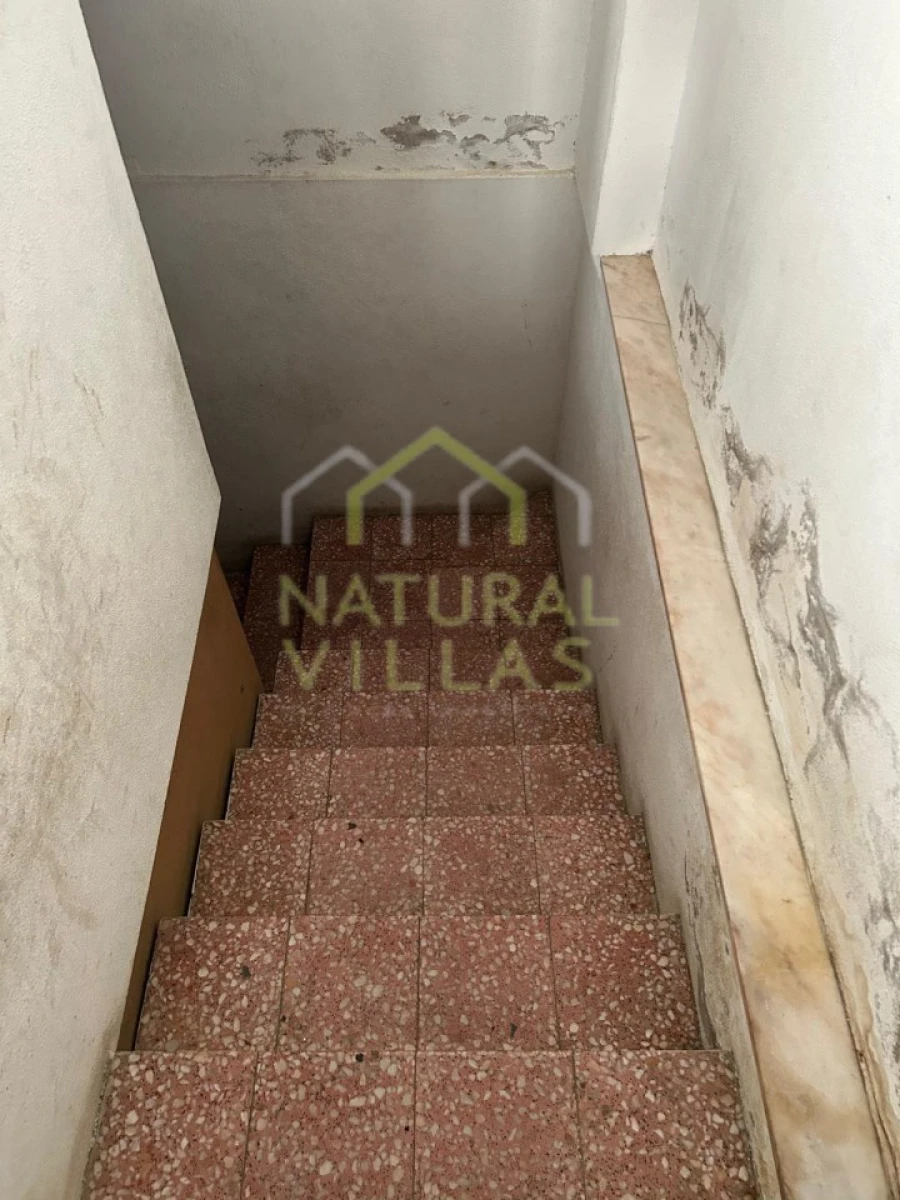 Loja para Venda em Loule (São Clemente) Foto 3