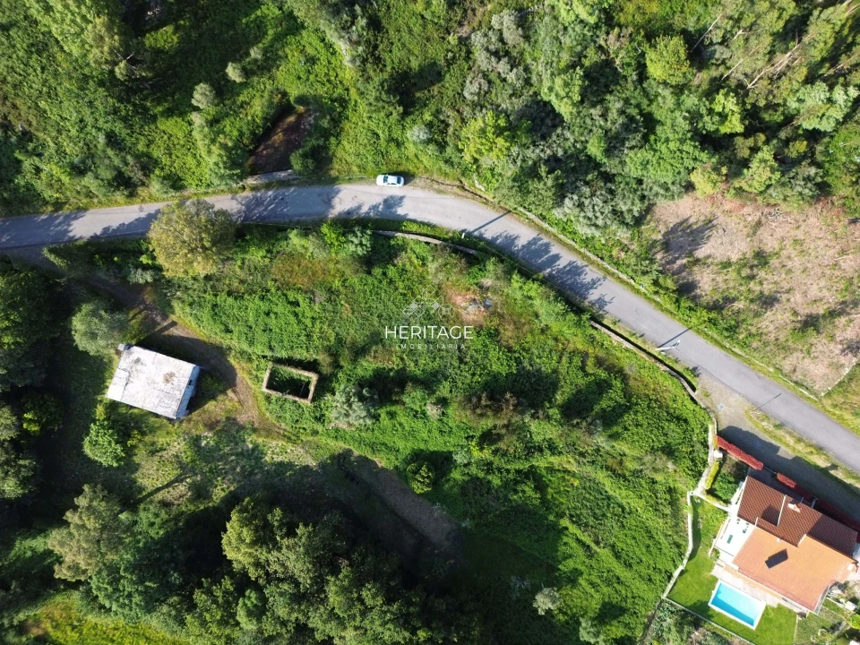 Terreno para Venda em Dem Foto 1