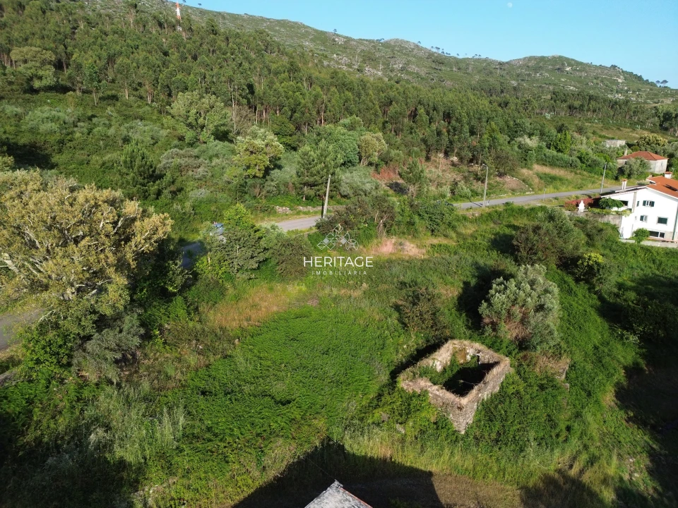 Terreno para Venda em Dem Foto 15