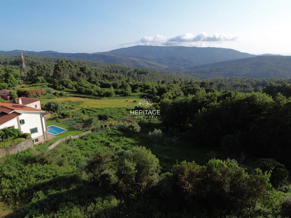 Terreno para Venda em Dem Foto 16