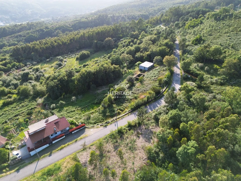 Terreno para Venda em Dem Foto 18