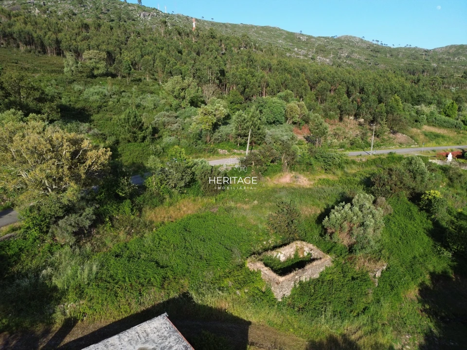 Terreno para Venda em Dem Foto 6