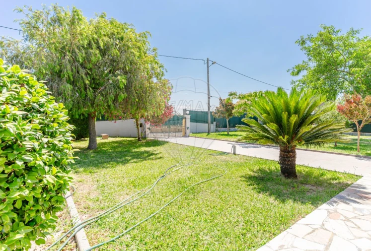 Quinta T8 para Venda em Poceirão e Marateca Foto 13