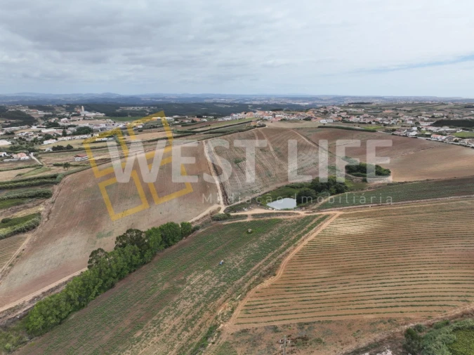 Terreno para Venda em Lourinhã e Atalaia Foto 10