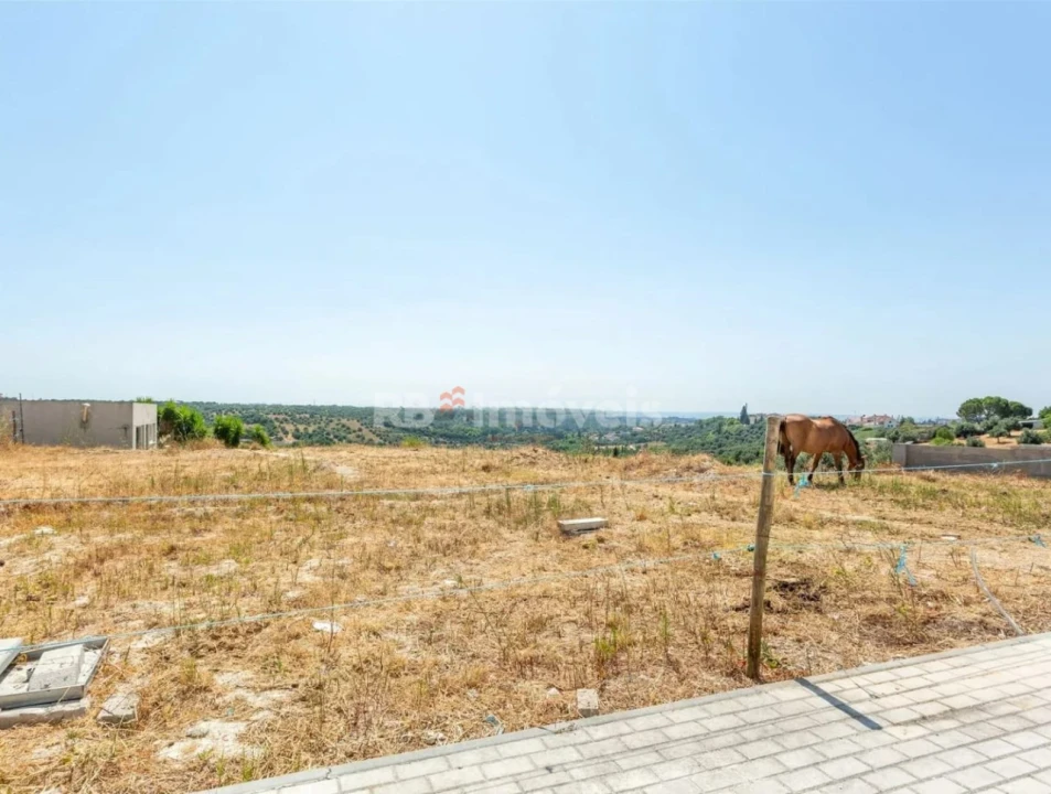 Moradia T3 para Venda em Torres Novas (São Pedro), Lapas e Ribeira Branca Foto 10