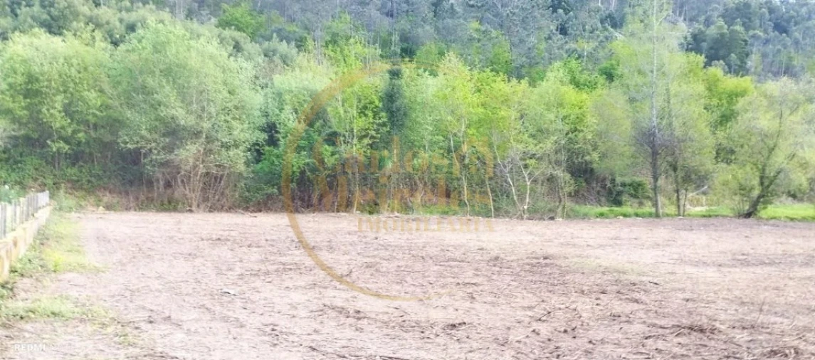 Terreno Agricola ou Rústico para Venda em Alheira e Igreja Nova Foto 2