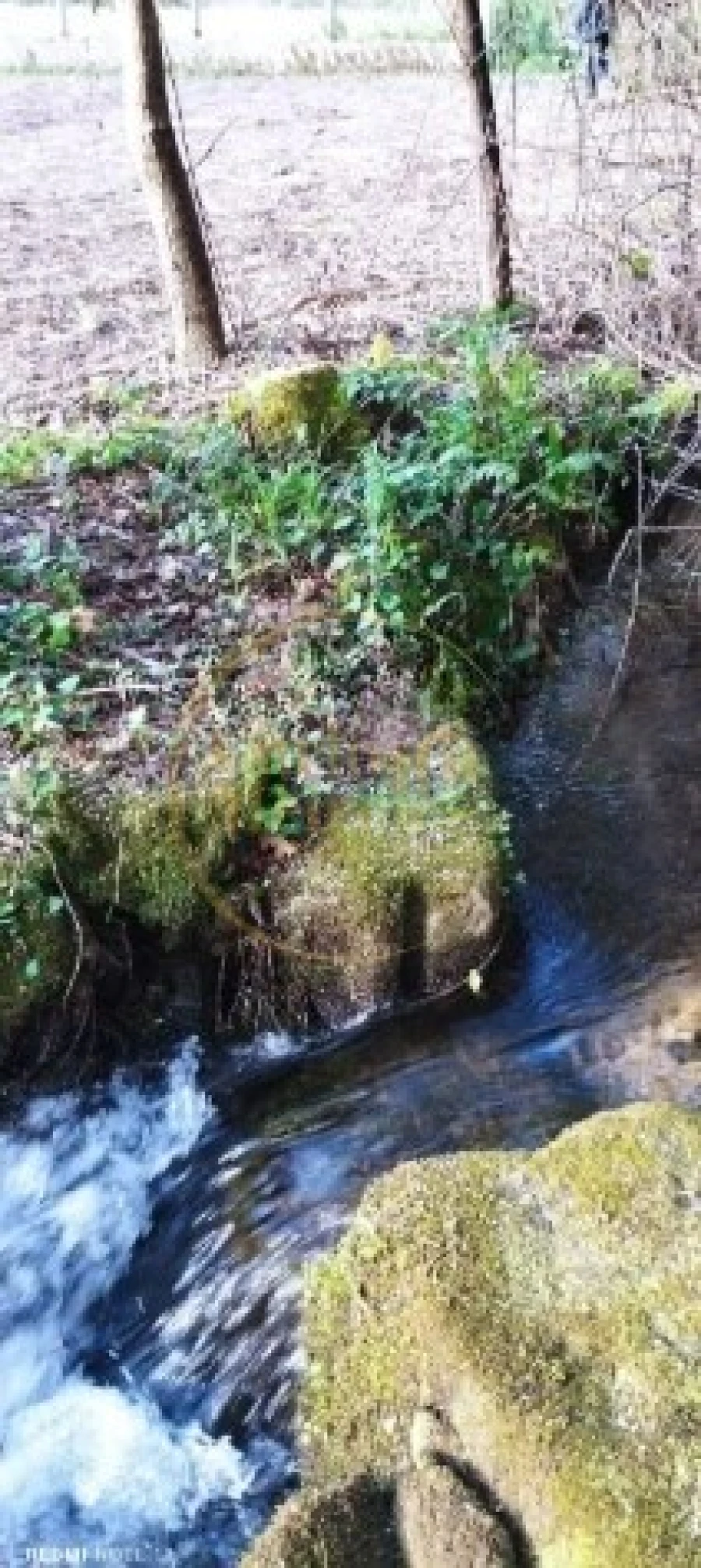 Terreno Agricola ou Rústico para Venda em Alheira e Igreja Nova Foto 3