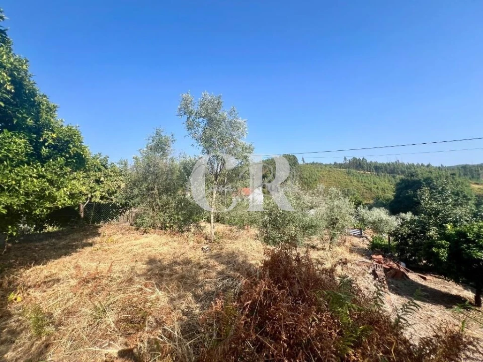 Moradia T4 para Venda em Figueiró dos Vinhos e Bairradas Foto 42