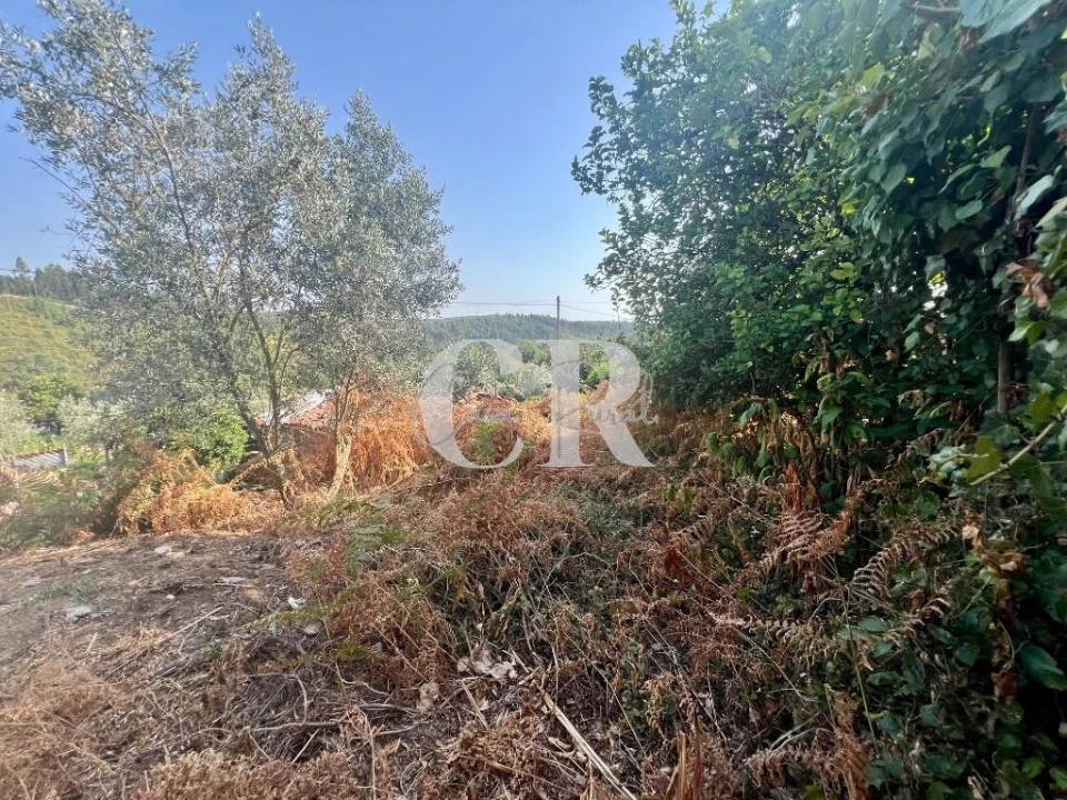 Moradia T4 para Venda em Figueiró dos Vinhos e Bairradas Foto 40