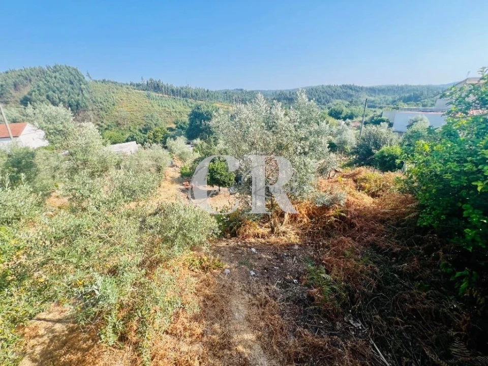 Moradia T4 para Venda em Figueiró dos Vinhos e Bairradas Foto 22