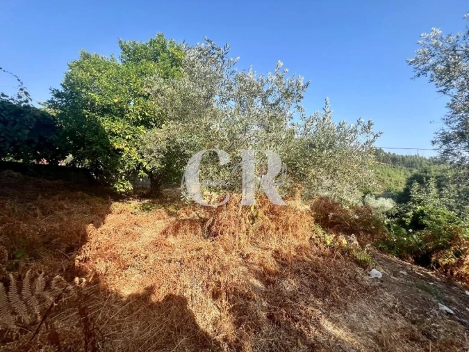 Moradia T4 para Venda em Figueiró dos Vinhos e Bairradas Foto 41