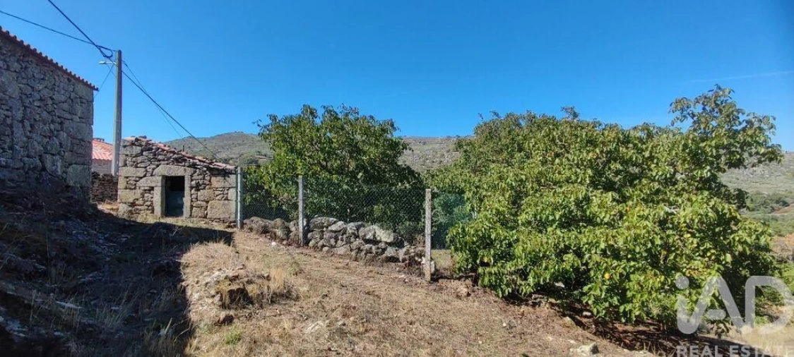 Moradia T2 para Venda em Penedono e Granja Foto 14