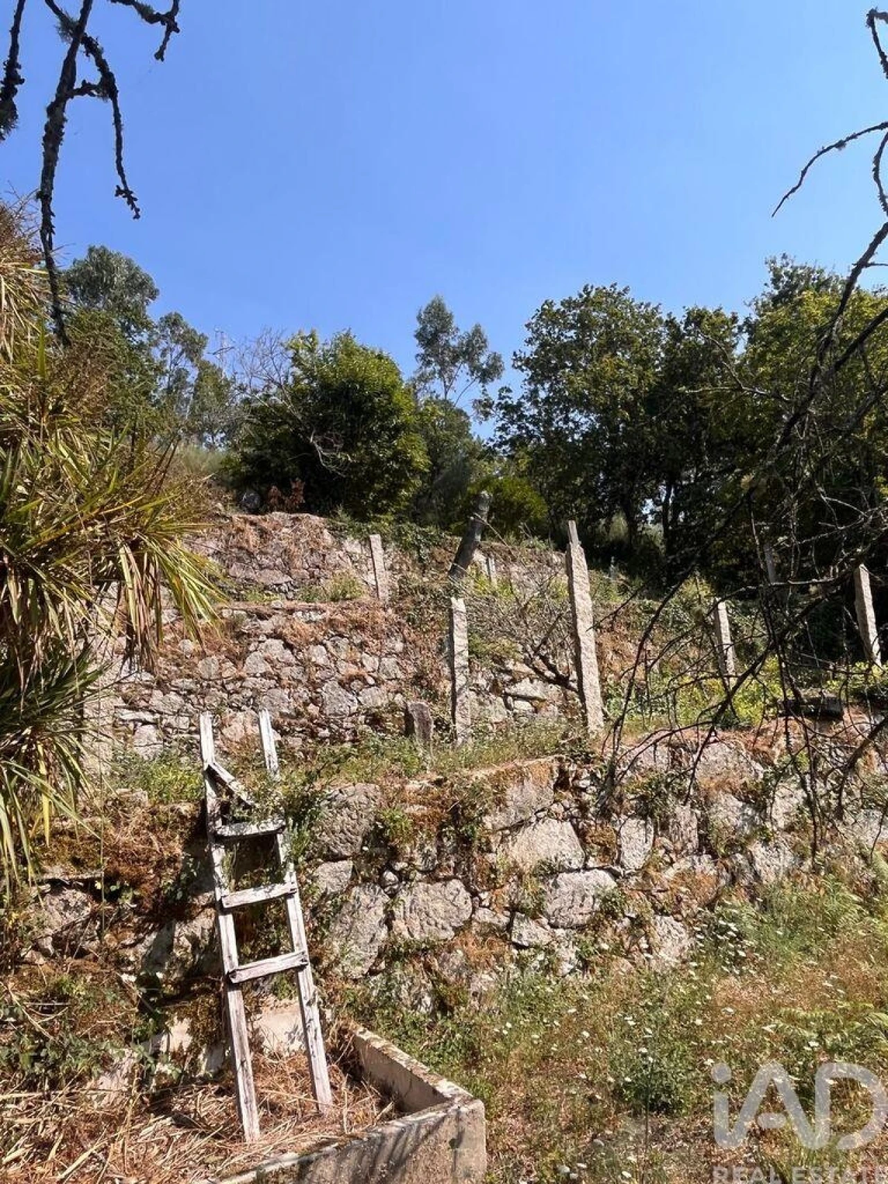 Moradia T3 para Venda em Lanhelas Foto 13