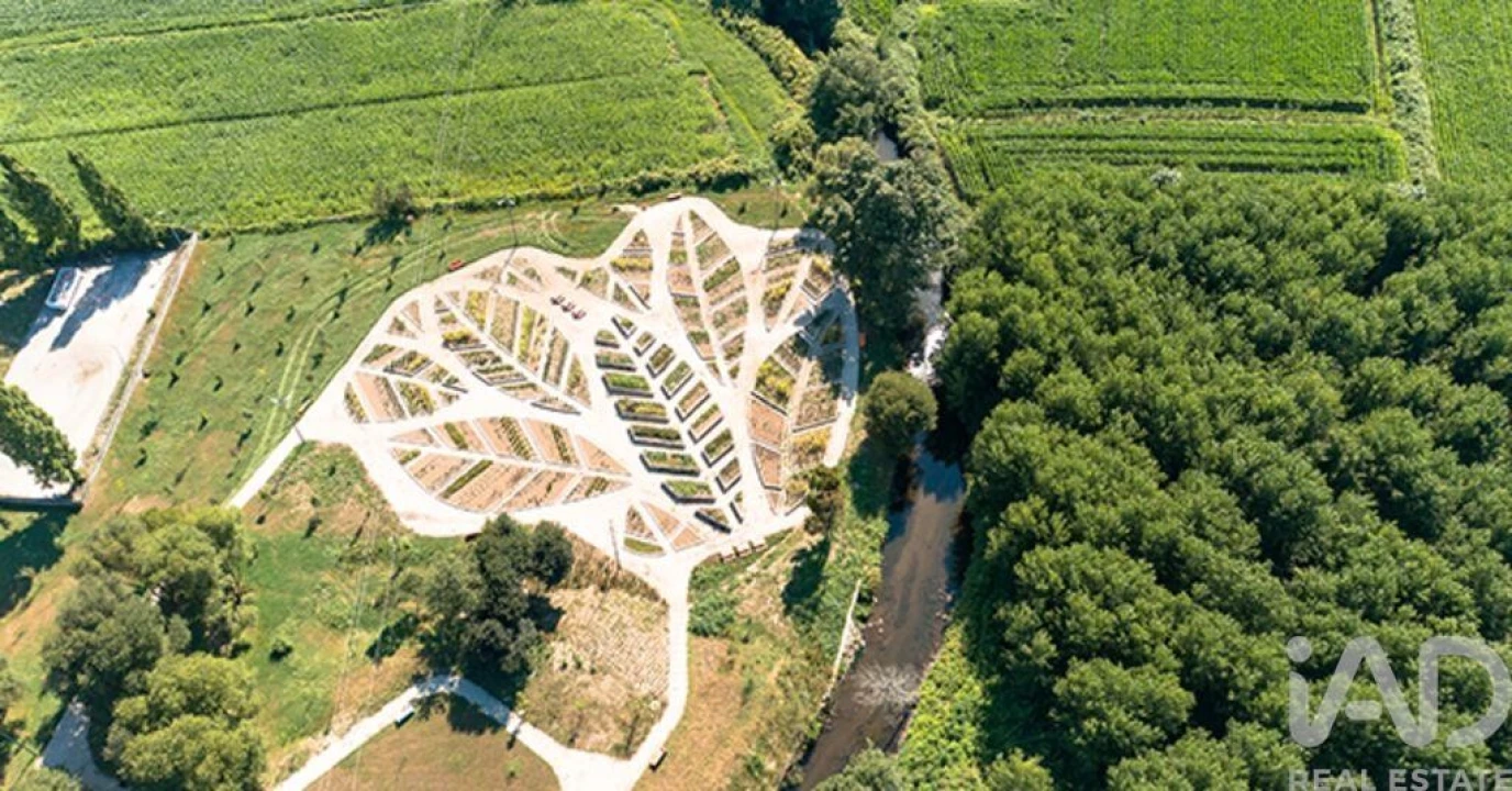 Terreno para Venda em Campo e Sobrado Foto 28