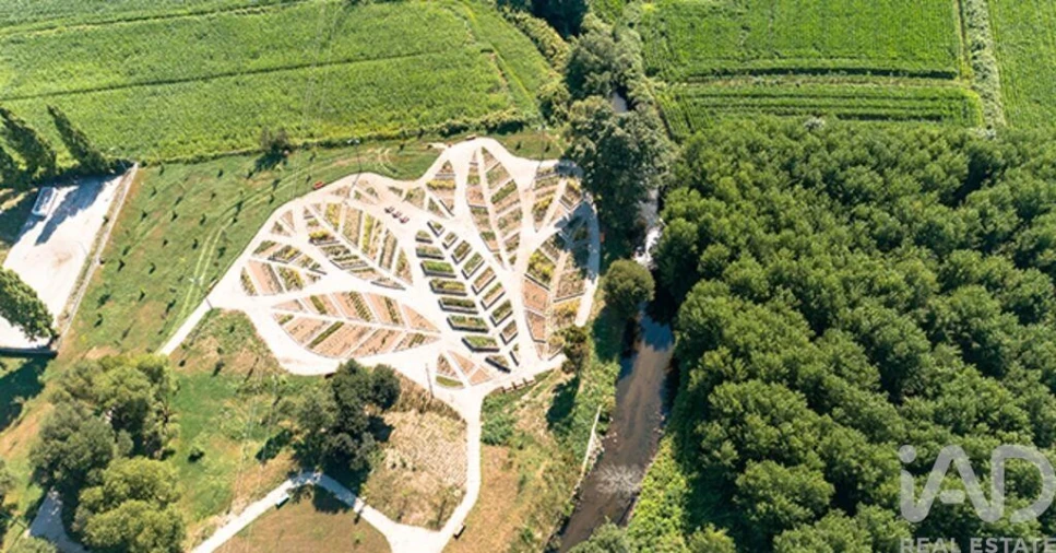 Terreno para Venda em Campo e Sobrado Foto 28
