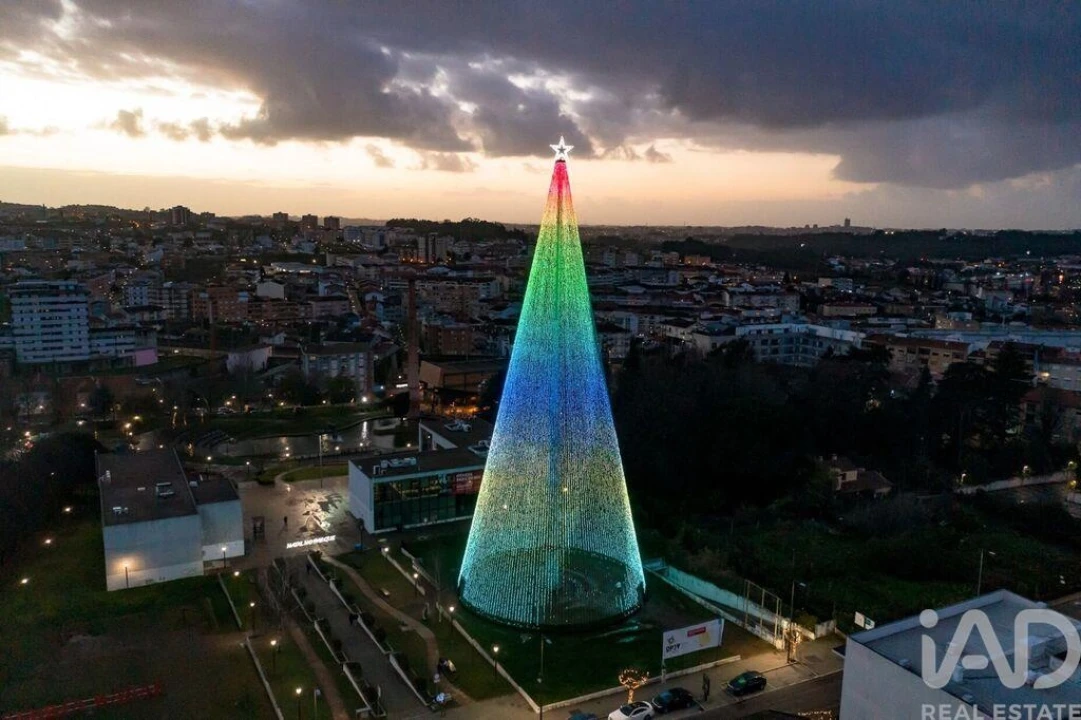 Terreno para Venda em Campo e Sobrado Foto 28