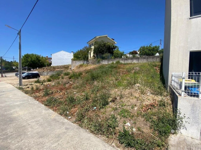 Terreno para Venda em Campo e Sobrado Foto 15
