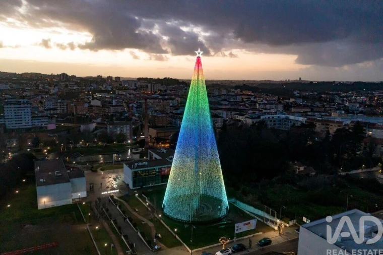 Terreno para Venda em Campo e Sobrado Foto 28