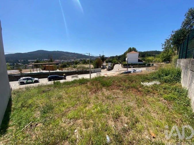 Terreno para Venda em Campo e Sobrado Foto 16