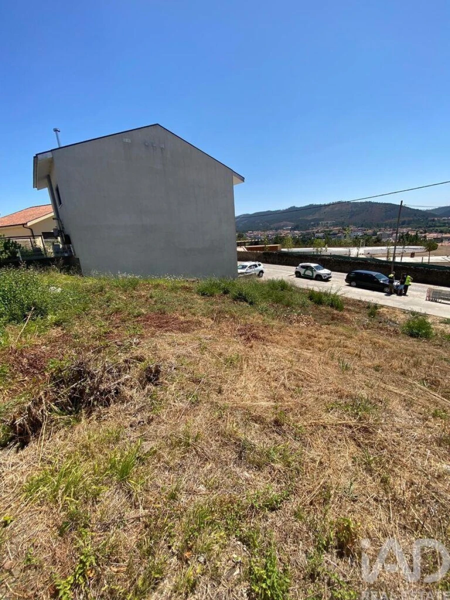 Terreno para Venda em Campo e Sobrado Foto 19