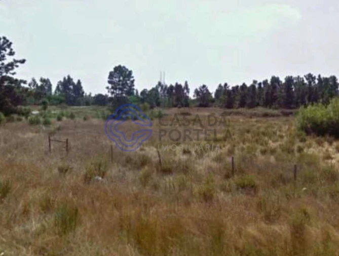 Terreno para Venda em Pegões Foto 4