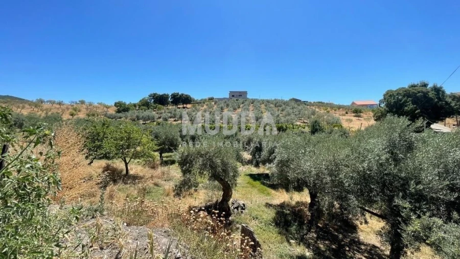 Moradia T5 para Venda em Noura e Palheiros Foto 24