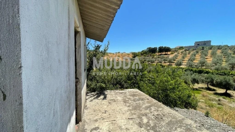 Moradia T5 para Venda em Noura e Palheiros Foto 19