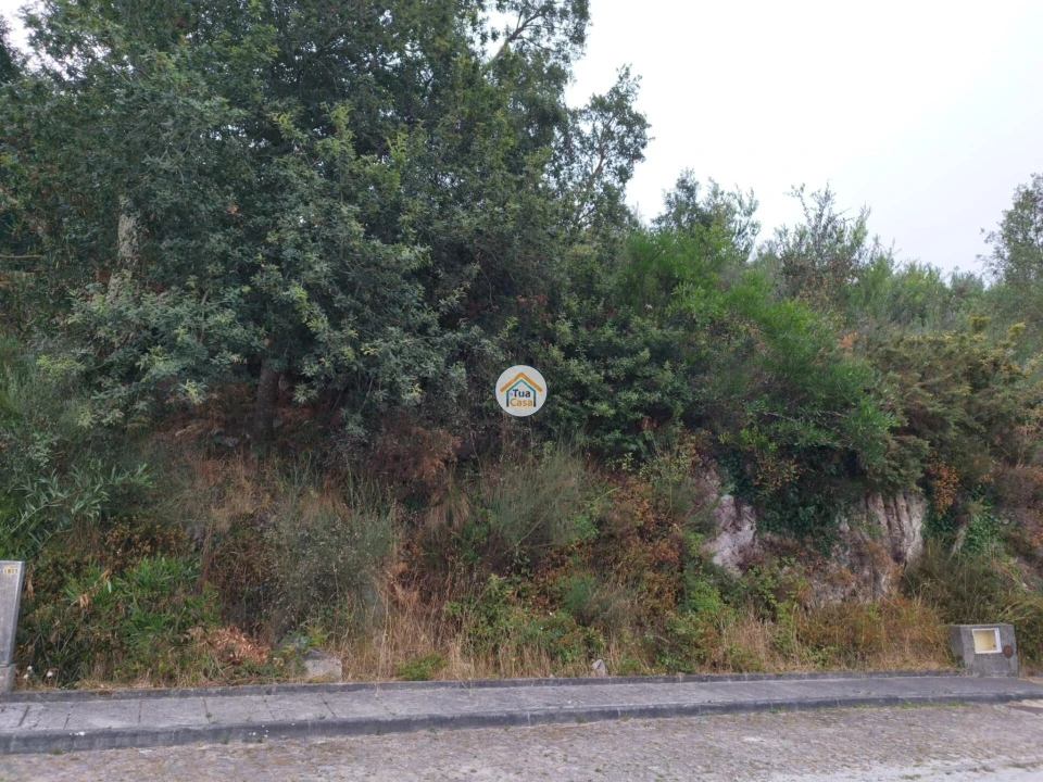 Terreno para Venda em Ancora Foto 12