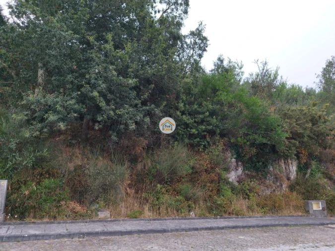 Terreno para Venda em Ancora Foto 12