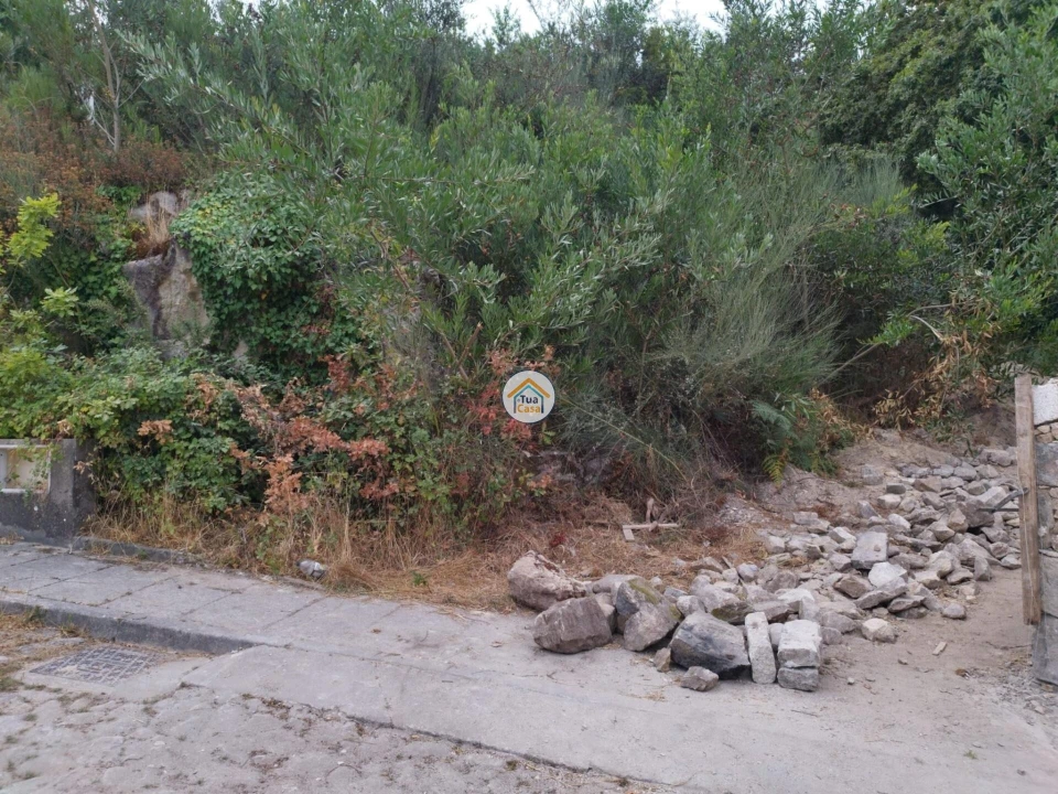 Terreno para Venda em Ancora Foto 8