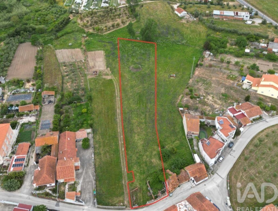 Terreno para Venda em Arrimal e Mendiga Foto 1